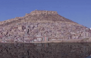 Mardin ve deniz