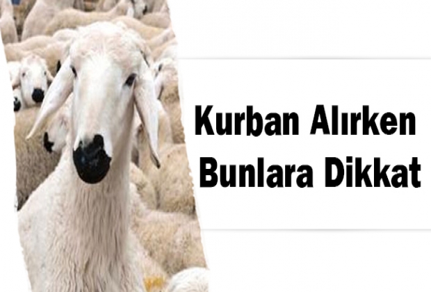 Kurban Alırken Bunlara Dikkat!