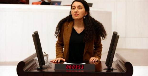 HDP'de görev dağılımı belli oldu