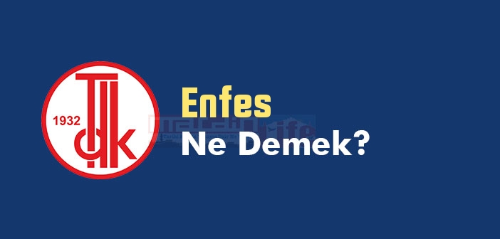 Enfes ne demek? TDK'ya göre Enfes kelime anlamı nedir? Enfes sözlük anlamı