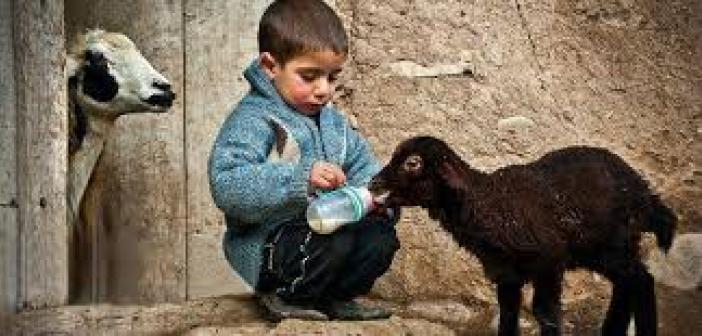 Hz. Muhammed'in Şefkat ve Merhamet ile İlgili Hadisleri