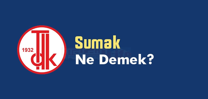 Sumak ne demek? TDK'ya göre Sumak kelime anlamı nedir? Sumak sözlük anlamı