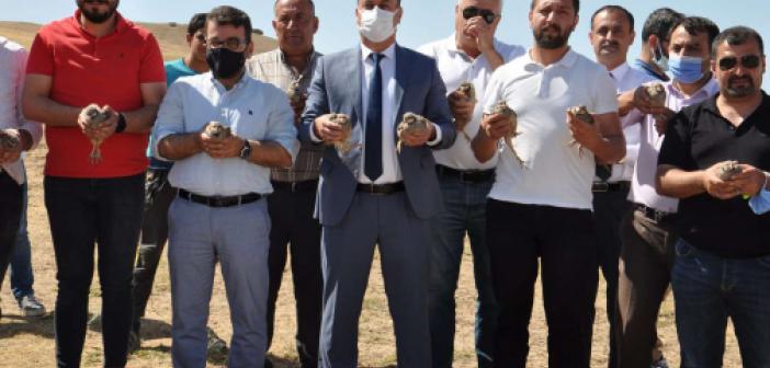 400 keklik 'süne' ile mücadele edecek