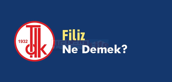 Filiz ne demek? TDK'ya göre Filiz kelime anlamı nedir? Filiz sözlük anlamı
