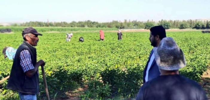 Kuraklık nedeniyle çiftçiye destek verilmeli
