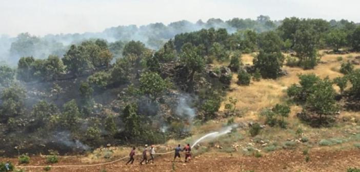 Mardin Valiliğinden Yasak Kararı