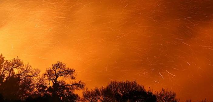 Rusya'dan Türkiye'ye destek için hava aracı gönderecek! Rusya'dan yangınlarla mücadeleye destek: 11 hava aracı gönderecek