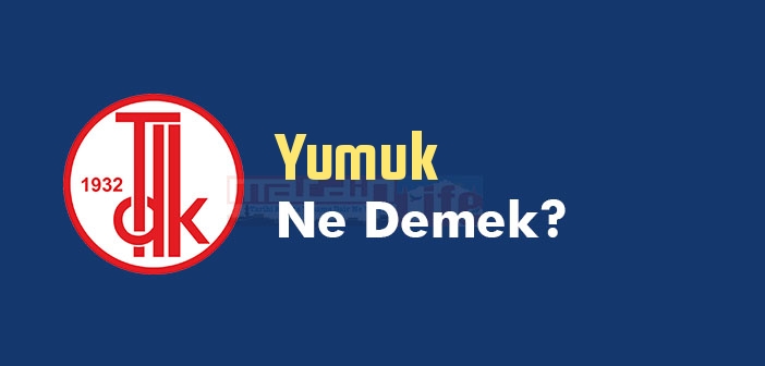 Yumuk ne demek? TDK'ya göre Yumuk kelime anlamı nedir? Yumuk sözlük anlamı