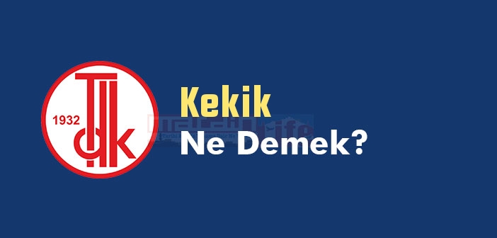 Kekik ne demek? TDK'ya göre Kekik kelime anlamı nedir? Kekik sözlük anlamı