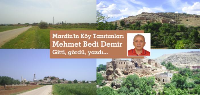 Köy Köy; Gitti Gördü Yazdı...