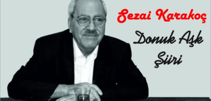Sezai Karakoç - Donuk Aşk şiiri sözleri | Sezai Karakoç şiirleri