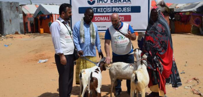 IHO-EBRAR'dan Somali'ye 'Süt Keçisi Projesi'