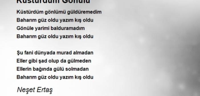 Neşet Ertaş Küstürdüm Gönülü Güldüremedim Sözleri - Küstürdüm Gönülü Güldüremedim kime ait