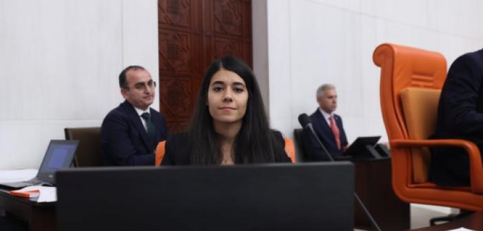 Mardin Milletvekilinden çocuk yoksulluğuna dair araştırma önergesi