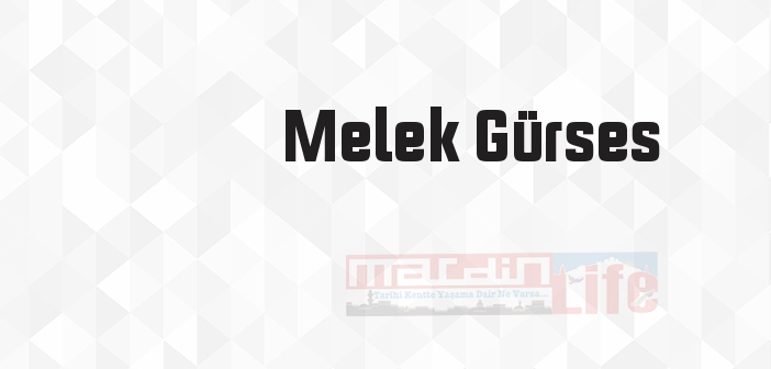 Yüreğimdeki Karanfil - Melek Gürses Kitap özeti, konusu ve incelemesi