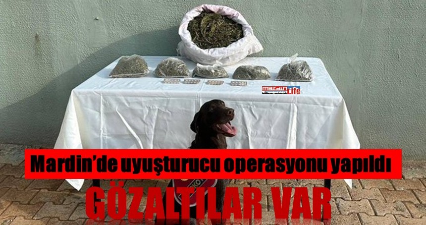 Mardin’de uyuşturucu operasyonu