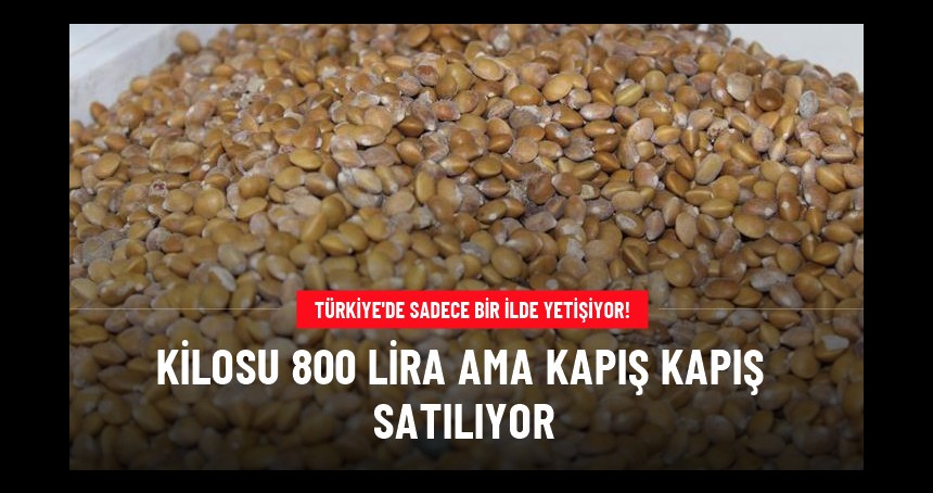 Türkiye'de sadece bir ilde satılıyor! Kilosu 800 TL'den kapış kapış satılıyor