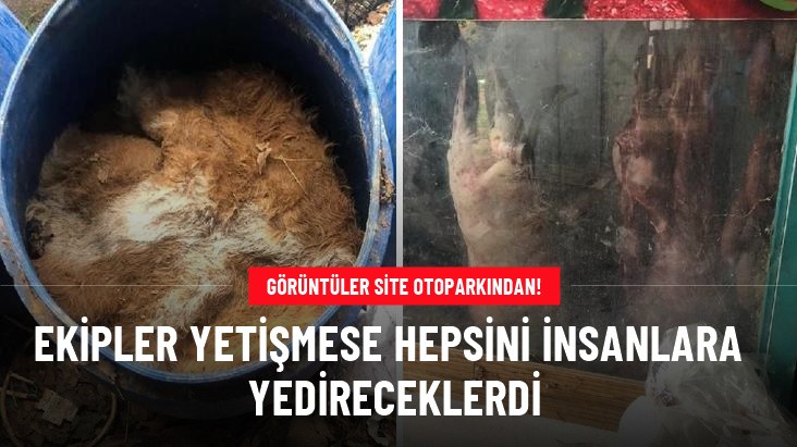 Site otoparkını mezbahaya çevirmişler! Tamı tamına 1,5 ton et ele geçirildi