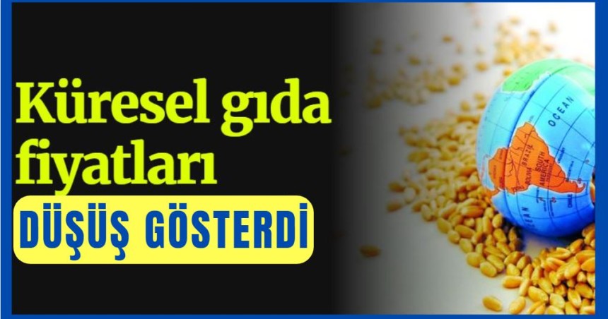 Küresel gıda fiyatları düşüş gösterdi
