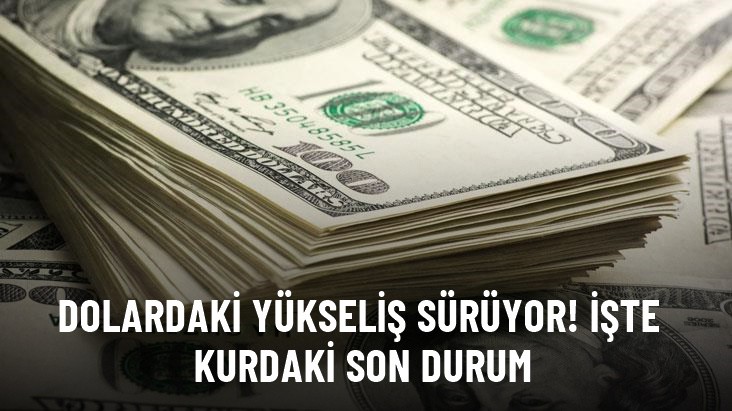 Dolar Şiddetli Yükselişini Sürdürüyor