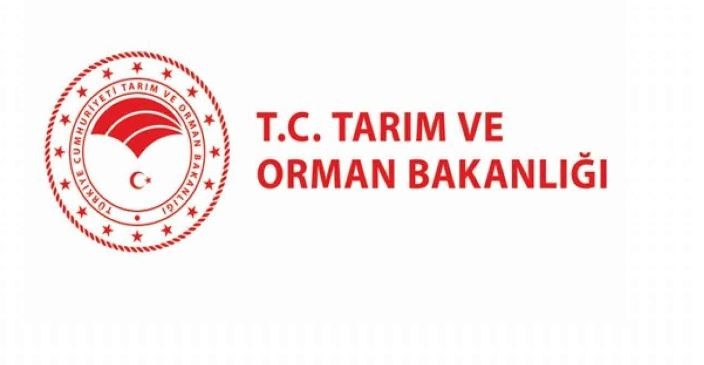 Orman Genel Müdürlüğü Personel Alımı 2024 İçin 170 Sözleşmeli İşçi Alımı Yapılacak