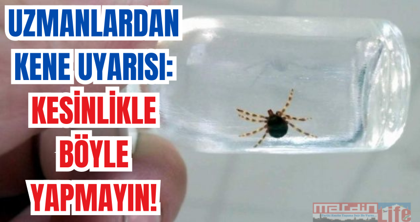 Uzmanlardan kene uyarısı: Kesinlikle böyle yapmayın!