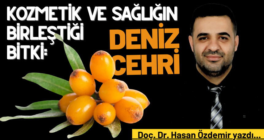 Kozmetik ve Sağlığın Birleştiği Bitki: Deniz Cehri