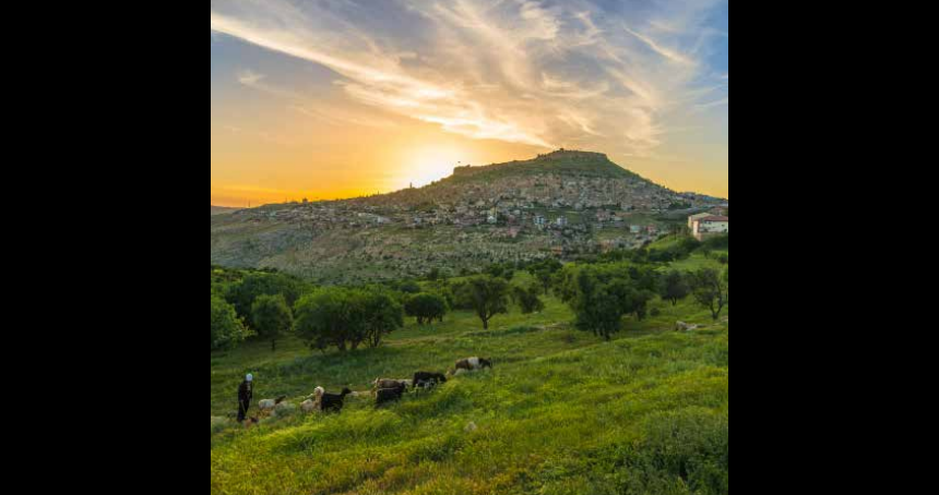 MARDİN’İN İKLİMİ