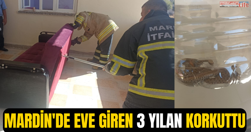 Mardin'de eve giren 3 yılan korkuttu