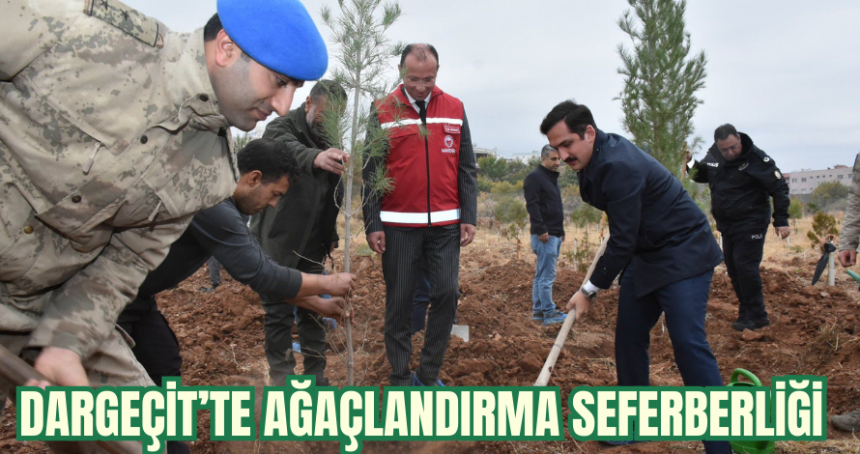 Dargeçit'te ağaçlandırma seferberliği