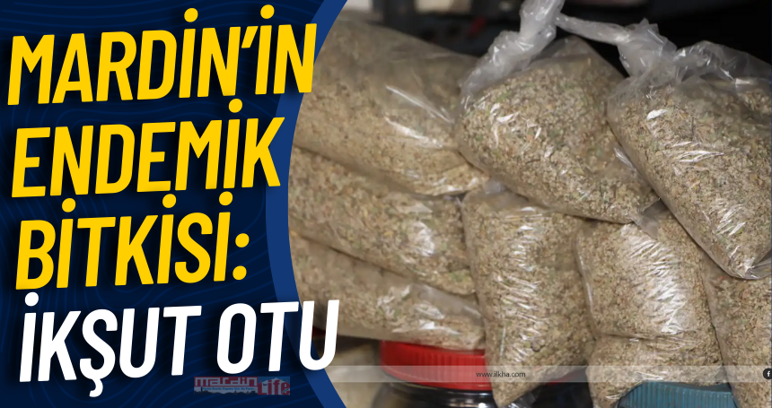 Mardin’in endemik bitkisi: İkşut otu