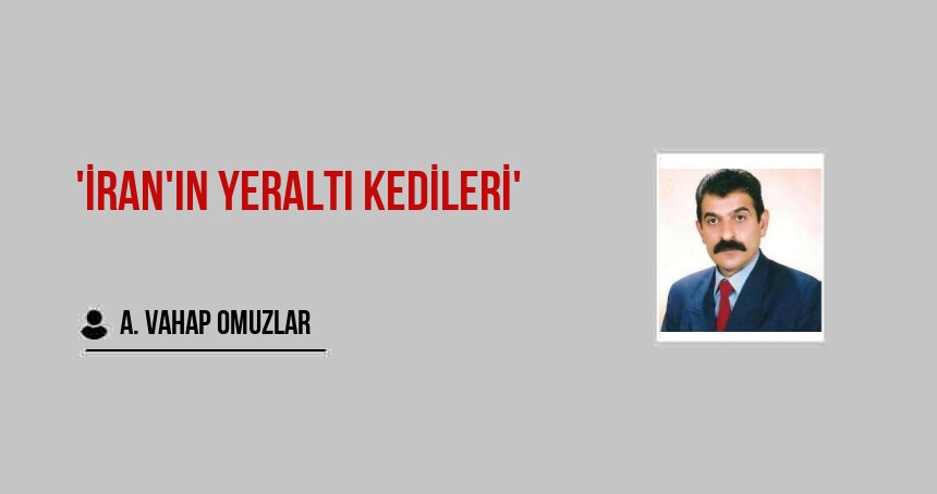 'İran'ın Yeraltı Kedileri'