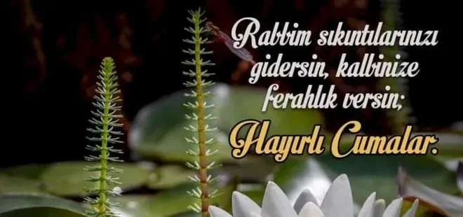 Ramazan Ayı Cuma mesajları: En güzel anlamlı, dualı , hadisli , ayetli, mesajlar