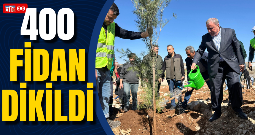 Midyat'ta 400 fidan dikildi