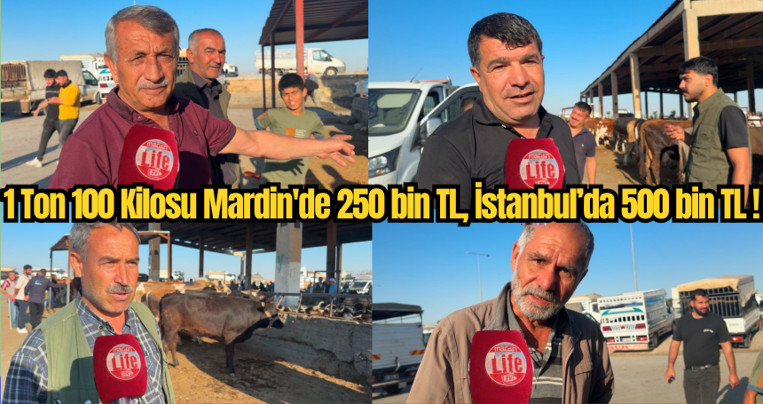 1 Ton 100 Kilosu Mardin'de 250 bin TL, İstanbul’da 500 bin TL!