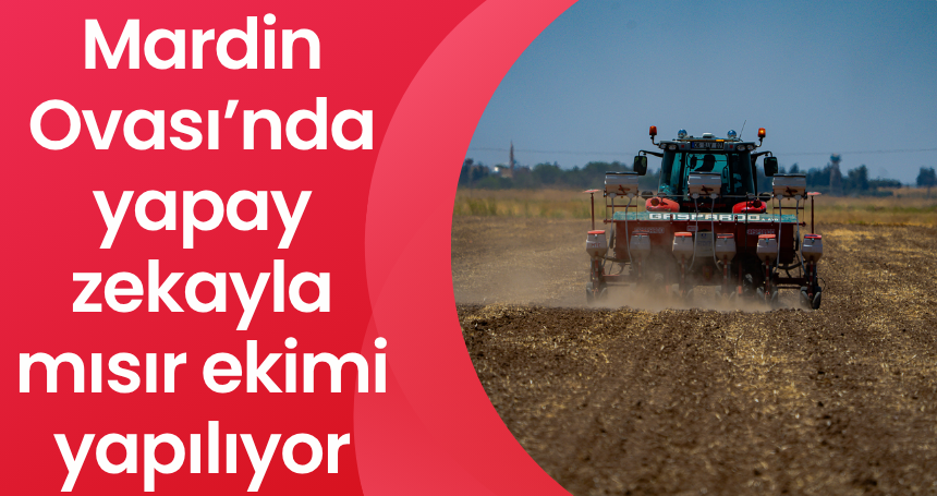 Mardin Ovası’nda yapay zekayla mısır ekimi yapılıyor
