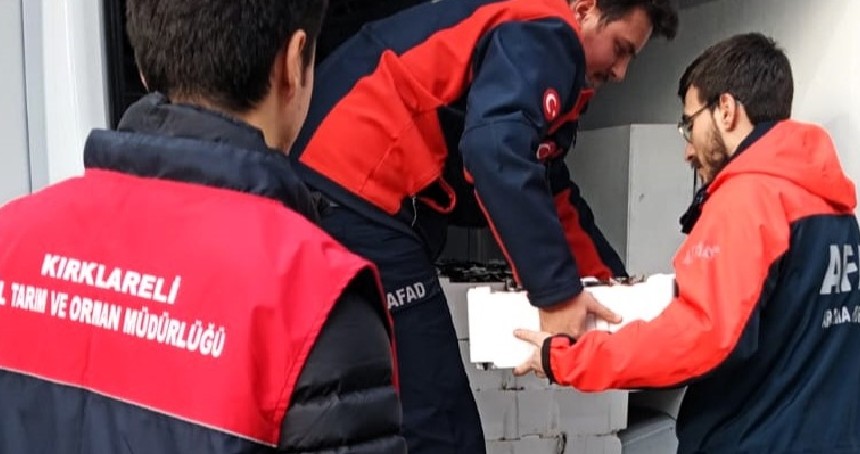 Kırklareli’de avlanabilir asgari boyun altında olan 3 ton istavrit yakalandı
