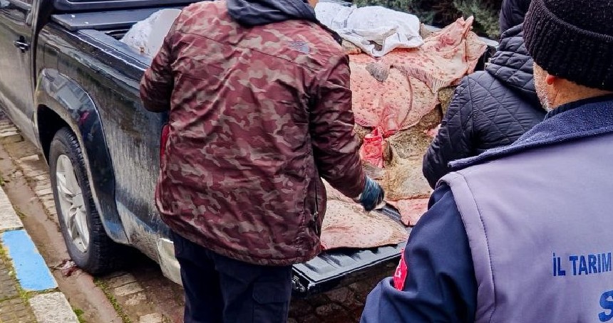 Sinop’ta kaçak avlanan 625 kalkan balığına el konuldu