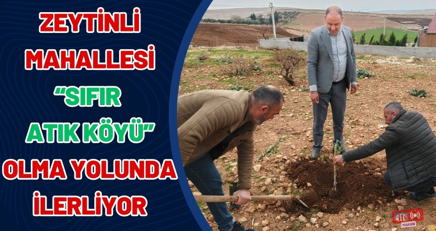 Zeytinli Mahallesi’nde Yeşil Dönüşüm Hamlesi: Sıfır Atık Köyü Olma Yolunda