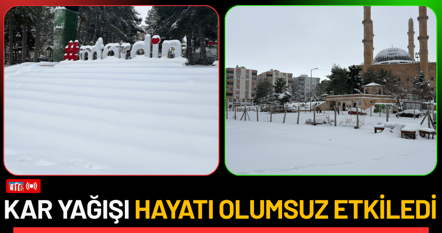 Mardin’de Kar Yağışı Hayatı Olumsuz Etkiledi