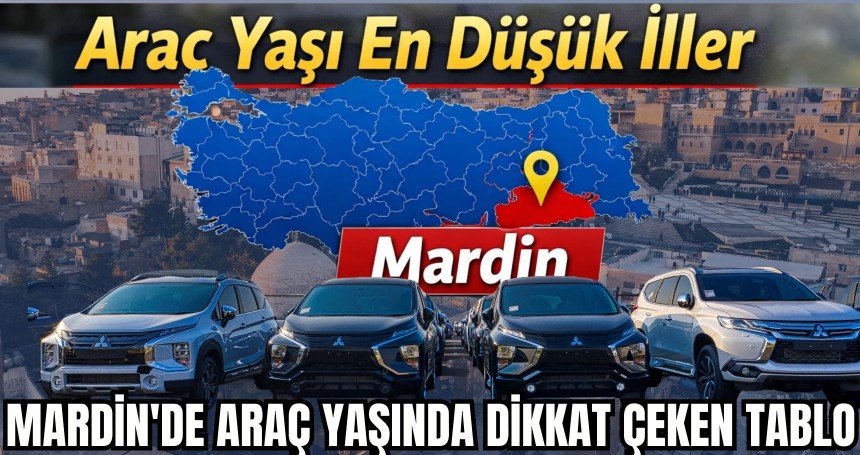 TÜİK açıkladı: Mardin'de araç yaşında dikkat çeken tablo