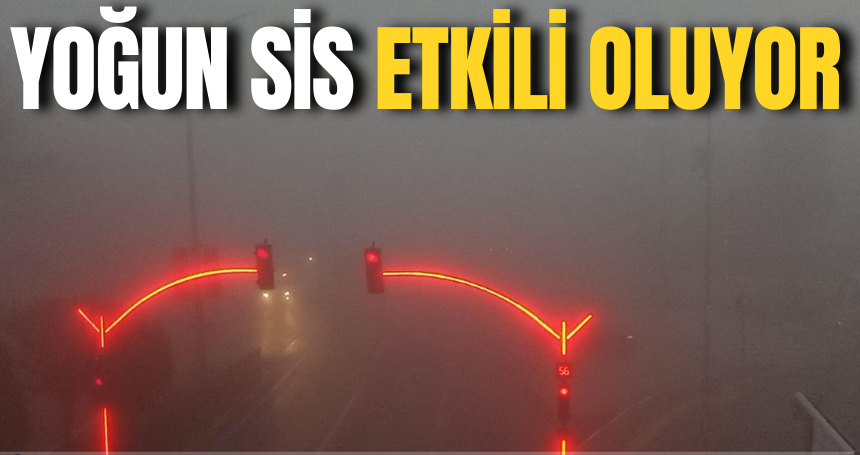Mardin’de yoğun sis