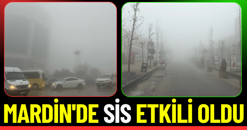 Mardin'de sis etkili oldu