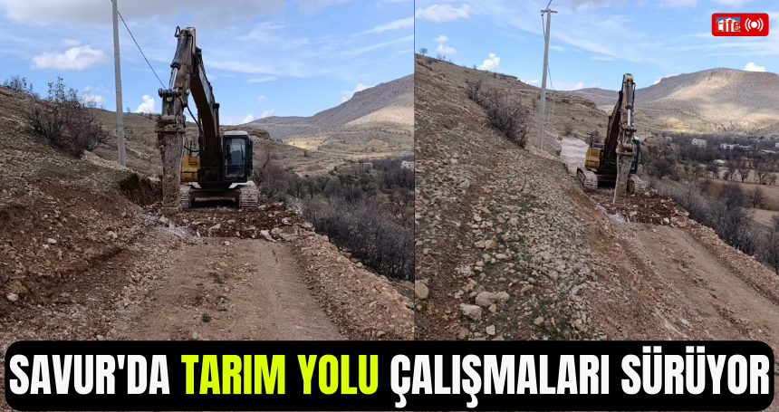 Savur'da Tarım Yolu Çalışmaları Sürüyor