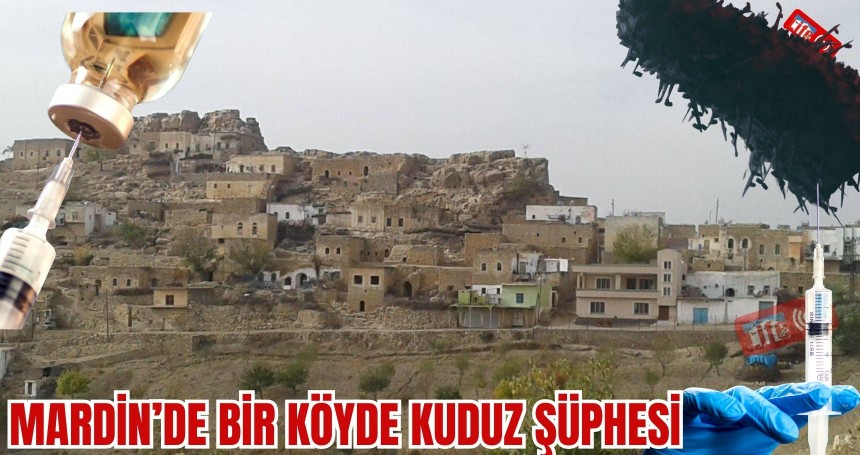 Mardin'de Bir Köyde Kuduz Şüphesi