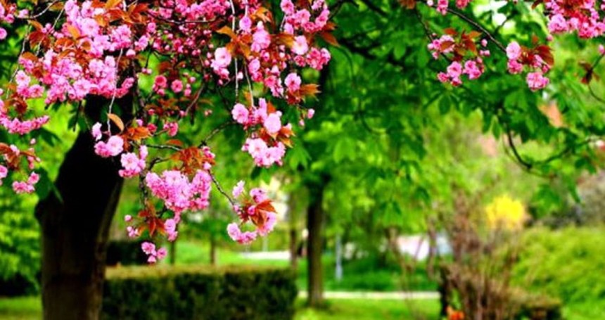 Nevruz ne demek? Nevruz ne anlama geliyor? Nevruz'da neler yapılır?