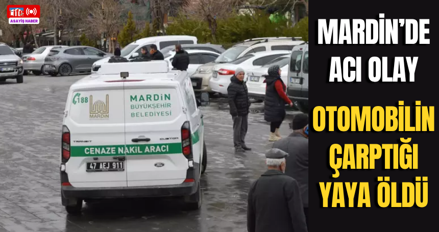 Mardin’de otomobilin çarptığı yaya öldü