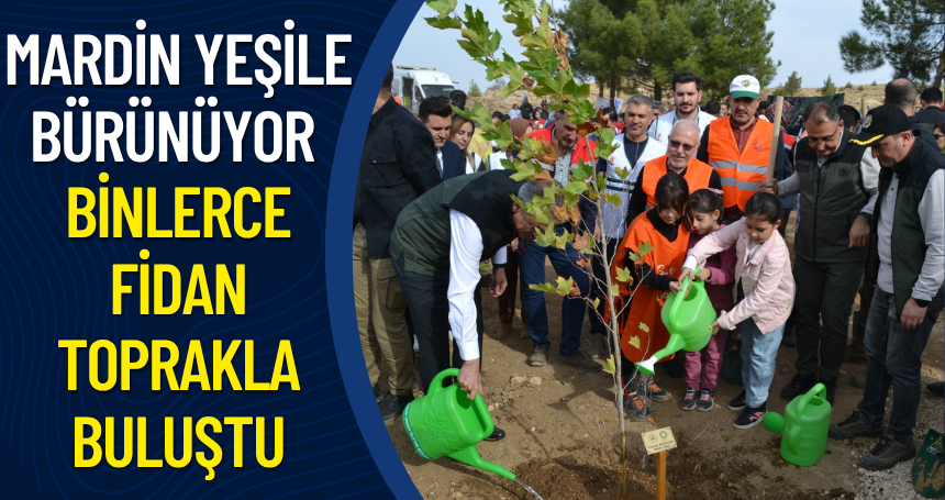 Mardin Yeşile Bürünüyor: Binlerce Fidan Toprakla Buluştu