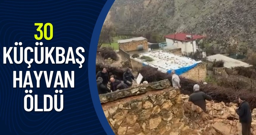 Mardin’de ahır çöktü: 30 küçükbaş hayvan öldü