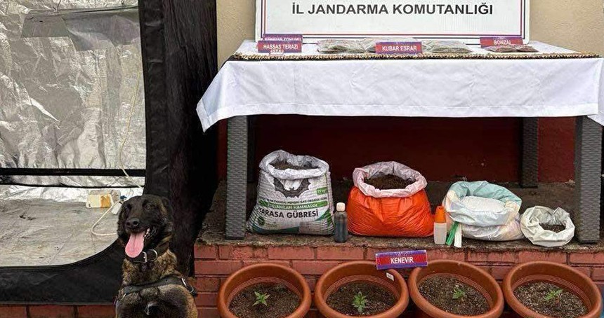 Zonguldak’ta uyuşturucu operasyonları: 8 şüpheli tutuklandı